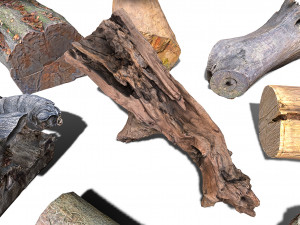 13 tree logs 3D 模型