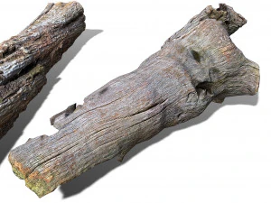 13 tree logs 3D Model