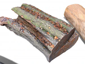 13 tree logs 3D Model