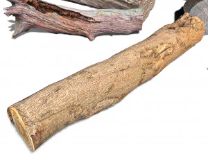 13 tree logs 3D Model