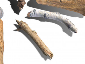 13 tree logs 3D 模型