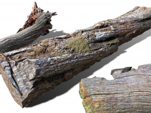 13 tree logs 3D Model
