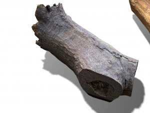 13 tree logs 3D Model