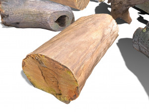 13 tree logs 3D 模型