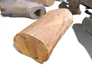 13 tree logs 3D Model