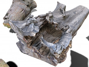 13 tree logs 3D 模型