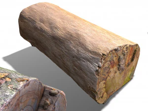 13 tree logs 3D Model