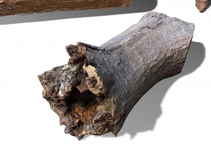 13 tree logs 3D Model