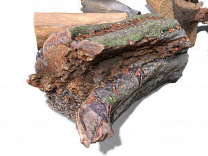 13 tree logs 3D 模型