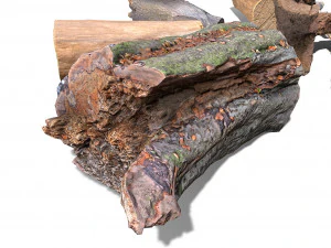 13 tree logs 3D Model