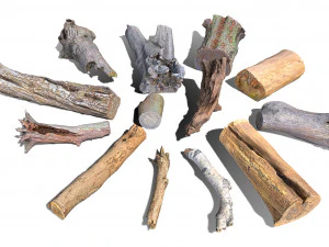 13 tree logs 3D Model