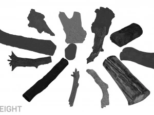 13 tree logs 3D Model