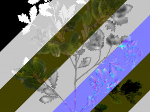 oak tree 3D Model