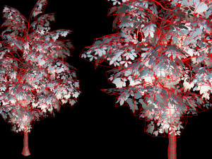 oak tree 3D Model