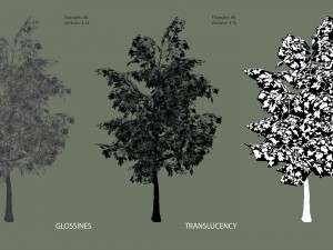 oak tree 3D Model