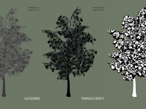 oak tree 3D Model