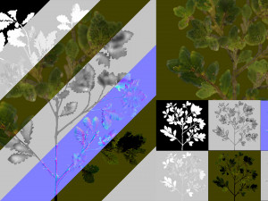 oak tree 3D Model