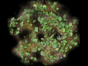 4 map types 2d tiles and decals set CG Textures