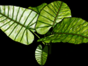 4 map types 2d tiles and decals set CG Textures