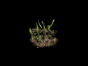 animated effects 3D Model