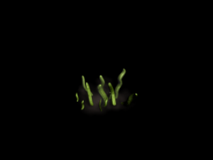 animated effects 3D Model