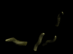 animated effects 3D Model