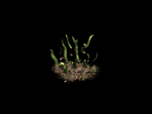 animated effects 3D Model