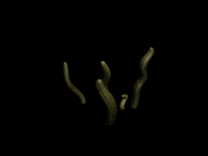animated effects 3D Model