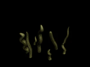 animated effects 3D Model