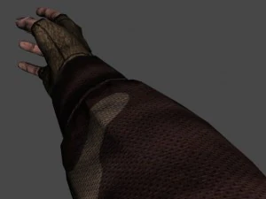 fps hand 3D Model