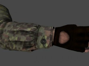 fps hand 3D Model