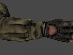 fps hand 3D Model