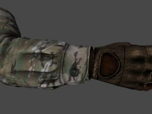 fps hand 3D Model