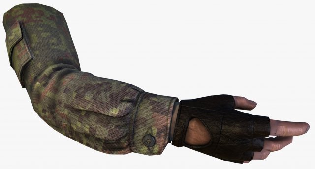 fps hand 3D Model .c4d .max .obj .3ds .fbx .stl .blend 