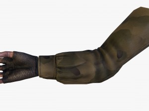 fps hand 3D Model