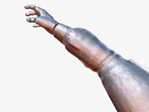 fps hand 3D Model