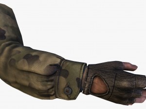 fps hand 3D Model