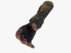fps hand 3D Model