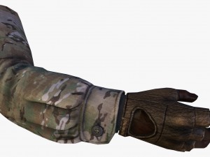 fps hand 3D Model