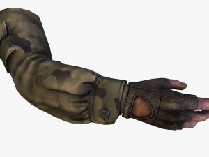 fps hand 3D Model