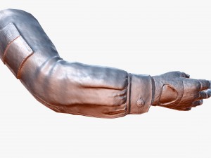 fps hand 3D Model