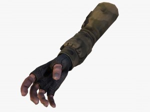 fps hand 3D Model