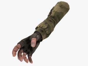 fps hand 3D Model