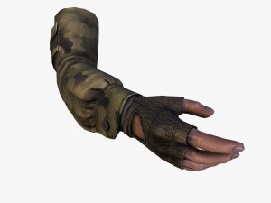 fps hand 3D Model