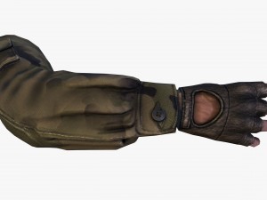 fps hand 3D Model