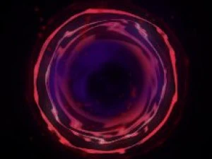 vortex or black hole animation 3D Model