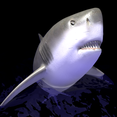 animated shark 3D Model .c4d .max .obj .3ds .fbx .stl .blend 