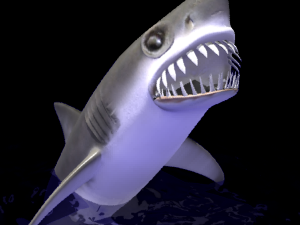 animated shark 3D Model