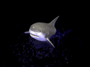 animated shark 3D Model