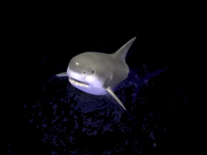 animated shark 3D Model